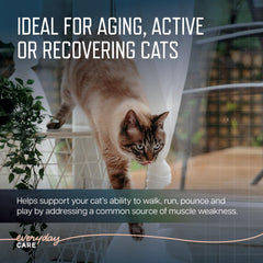 Virbac URSOLYX Soft Chews for older cats supports mobility