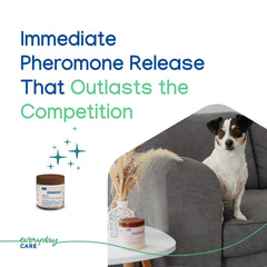 Virbac ZENIDOG dog relaxing after use with calming pheromone gel diffuser