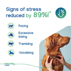 Virbac ZENIDOG collar worn by a dog demonstrating consistent calming effect in daily life.