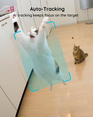 VIRTAVO XD1 pet call and two-way audio helps guide pets into view.