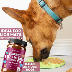 Visionary Pet Foods Beef Meat Spread as a meal topper to enhance flavors.
