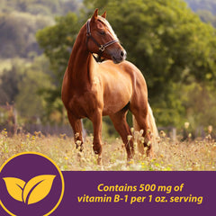 Vita B-1 Crumbles helps maintain energy after strenuous exercise