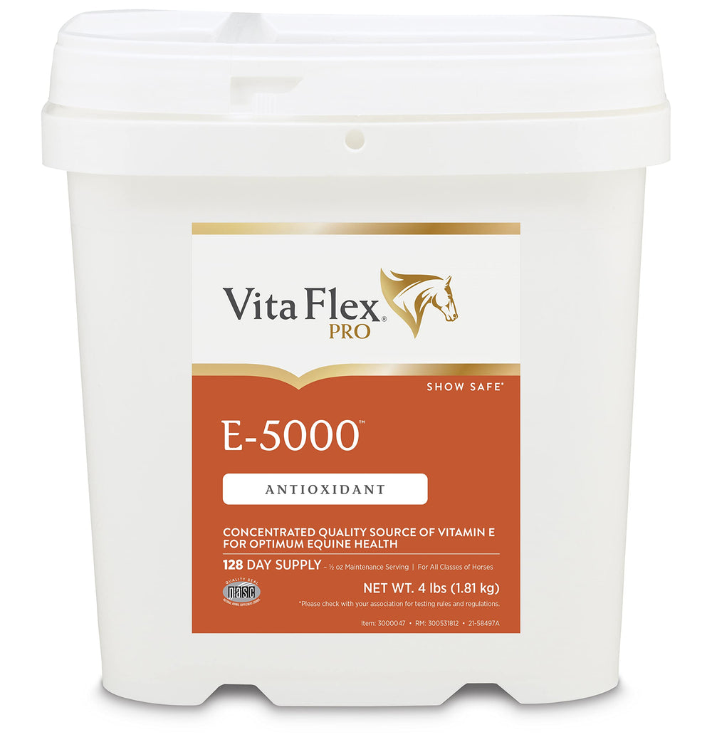 Vita Flex Pro E-5000 bottle front view highlighting antioxidant support for horses