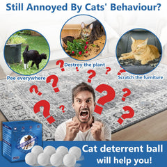 VITAFOR cat deterrent in a garden protecting plants