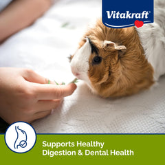 Timothy hay visible in Vitakraft Vita Smart blend.