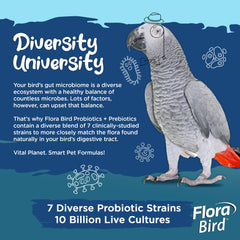 Vital Planet Flora Bird powder dissolving in water for simple feeding