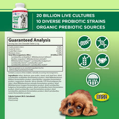 Vital Planet Flora Dog soft chews on counter delivering a tasty probiotic boost.