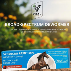 Close up of apple flavored paste syringe used in routine equine care