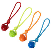 Vitalili dog training ball with rope-handle for interactive tug and fetch sessions