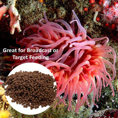Vitalis Marine Anemone Pellets sinking action demonstrates natural feeding in saltwater tanks
