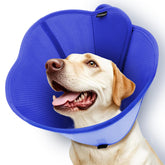 Vithael dog cone inner layer provides breathable comfort for recovery.
