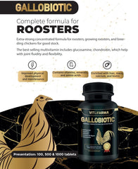 Close-up of Gallobiotic tablets highlighting vitamins, minerals, and amino acids