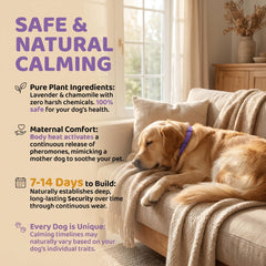 VivaciousVision Calming Collar 4-pack box for long-term pet calm.