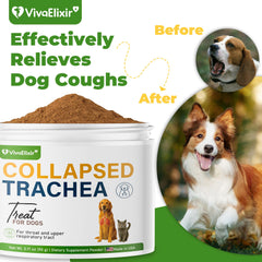 VivaElixir ingredients highlight licorice root, honeysuckle, and marshmallow for natural blend.
