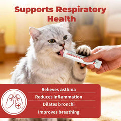 VivaElixir Lysine bars in use beside a bowl, highlighting easy, tasty cat respiratory care.