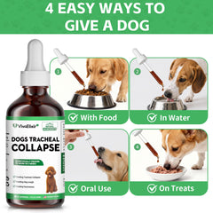 VivaElixir Slippery Elm plant image emphasizes throat soothing benefits.