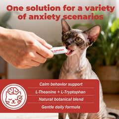 VivaElixir Cat Calming Treats bottle highlights natural ingredients for pets.
