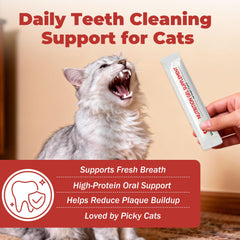 VivaElixir cat dental care gel teeth-closeup showing plaque control in routine care.