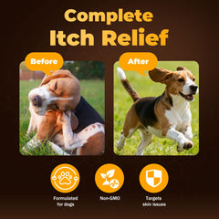 VivaElixir Manuka Honey for Dogs dosing guidance for safe daily use