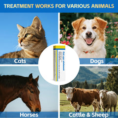 VivaElixir Pet Eye Health label highlights freshness for reliable care.