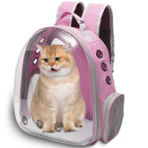 Vivicreate large cat backpack with front bubble window for outdoor viewing.