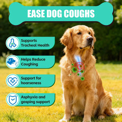 VivaElixir Kennel Cough Chews bottle label shows natural herbs