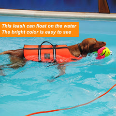 Vivifying floating leash visible during water play for easy tracking