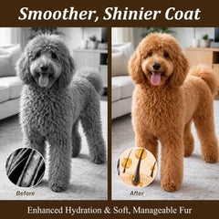VivaElixir pet bath routine image showcasing calm grooming.