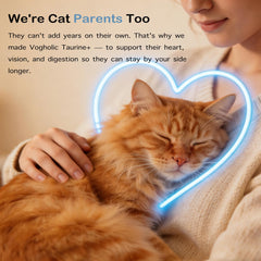 Vogholic Taurine Powder for Cats healthy-coat close-up highlights potential coat shine.