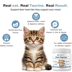 Vogholic Taurine Powder for Cats scoop shows easy daily dosing without pills.