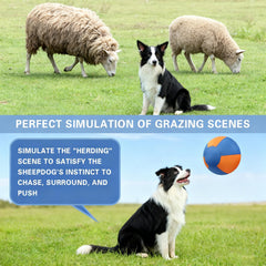 VORLHQ Herding Ball quick assembly guide shows fast setup.