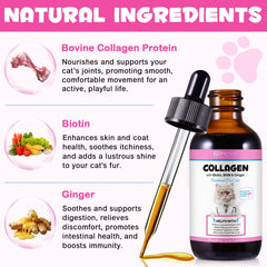 VOSIFSDIY ginger-infused drops for digestive comfort in cats