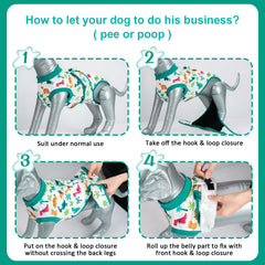 V.PET.B.R cone-alternative recovery suit protects wounds while dogs move freely.