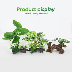 Vtapliea silk leaf plant small adds color and coverage to tanks.
