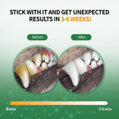 Close-up of teeth with Vyaji powder cleansing action