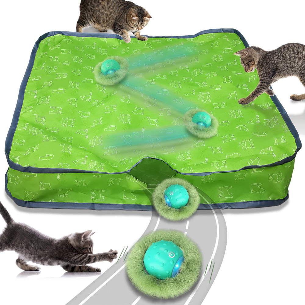 Waaiio interactive cat toy ball in pouch entices curious indoor cat to explore.