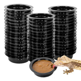 WACOOL magnetic reptile ledge with cups attached in tank for stable feeding.