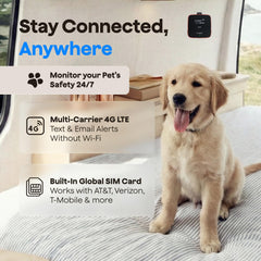 Waggle 3-in-1 sensor displays temperature humidity and heat index