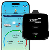 Waggle 4G Pet Temperature Monitor Lite device with real-time status for safety