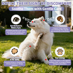 Wagmee chews promote healthier skin and coat over time.