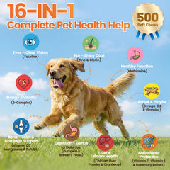Wagmee dog vitamins soft chews chicken flavor, appealing daily supplement.