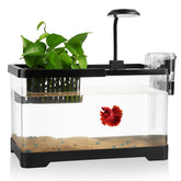 Wagrvuy 1.8-gallon tank kit with clear view for beginners.