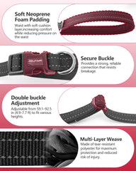 WANFIRE belt and crossbody use for hands-free two-dog outings
