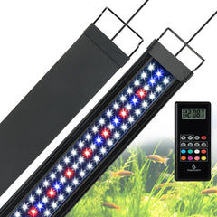 WaterRebirth RGB mode showcase on aquarium lighting for color tuning