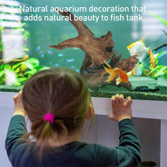 WDEFUN driftwood piece 4 provides textured enrichment for fish tanks and aquascapes