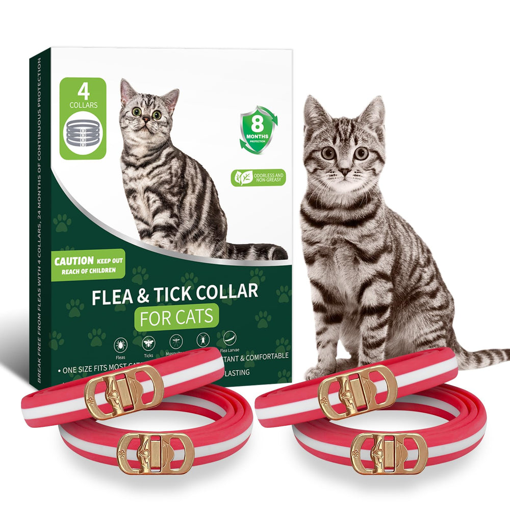 WEALLIN 4-pack cat collars striped red and white for durable daily wear.