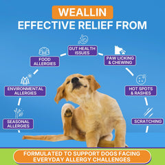 WEALLIN anti-itch chews close-up showing soft, tasty texture.
