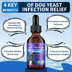 WEALLIN natural yeast drops poured into dog food for absorption.