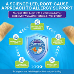 WEALLIN cat allergy relief chews treat texture shows convenient daily supplementation for skin and coat comfort