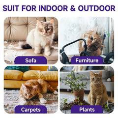 WEALLIN Cat Deterrent Spray protects upholstery and carpets from cat damage.